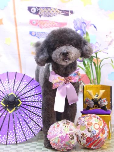 20240515コタロウくん